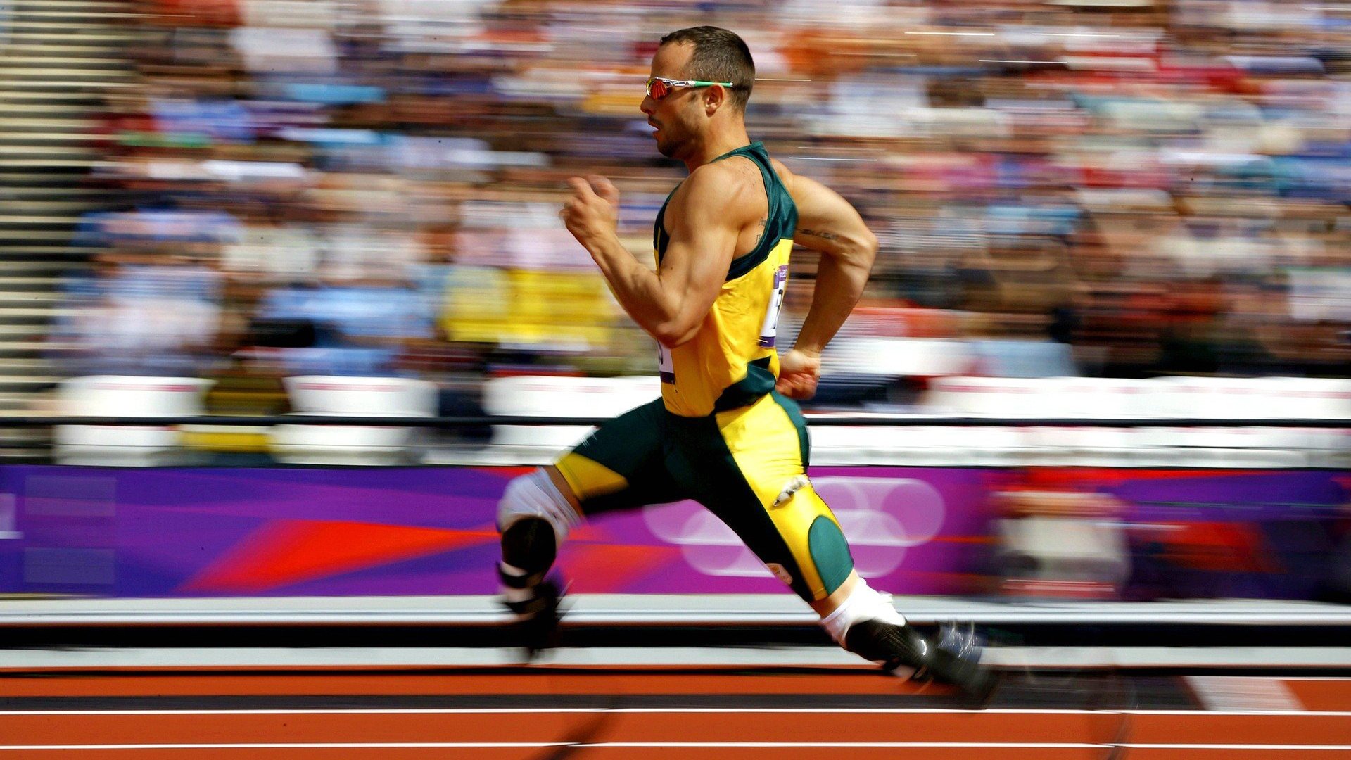 “荣耀瞬间:冠军车手的感人时刻”,荣耀夺冠